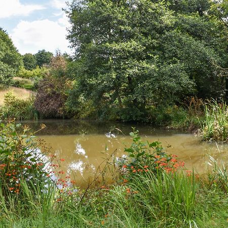 Narracott Down Villa South Molton Bagian luar foto