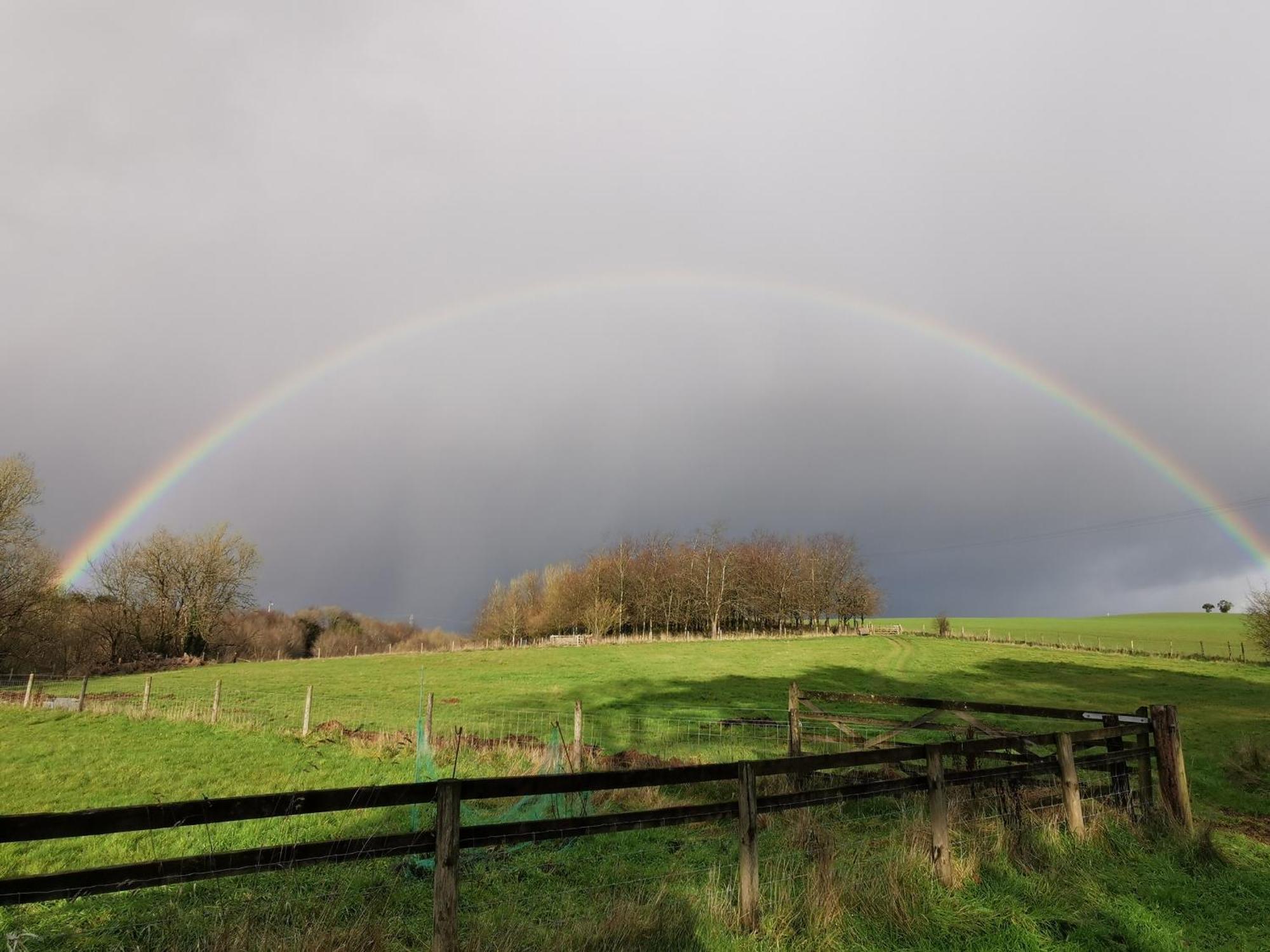 Narracott Down Villa South Molton Bagian luar foto