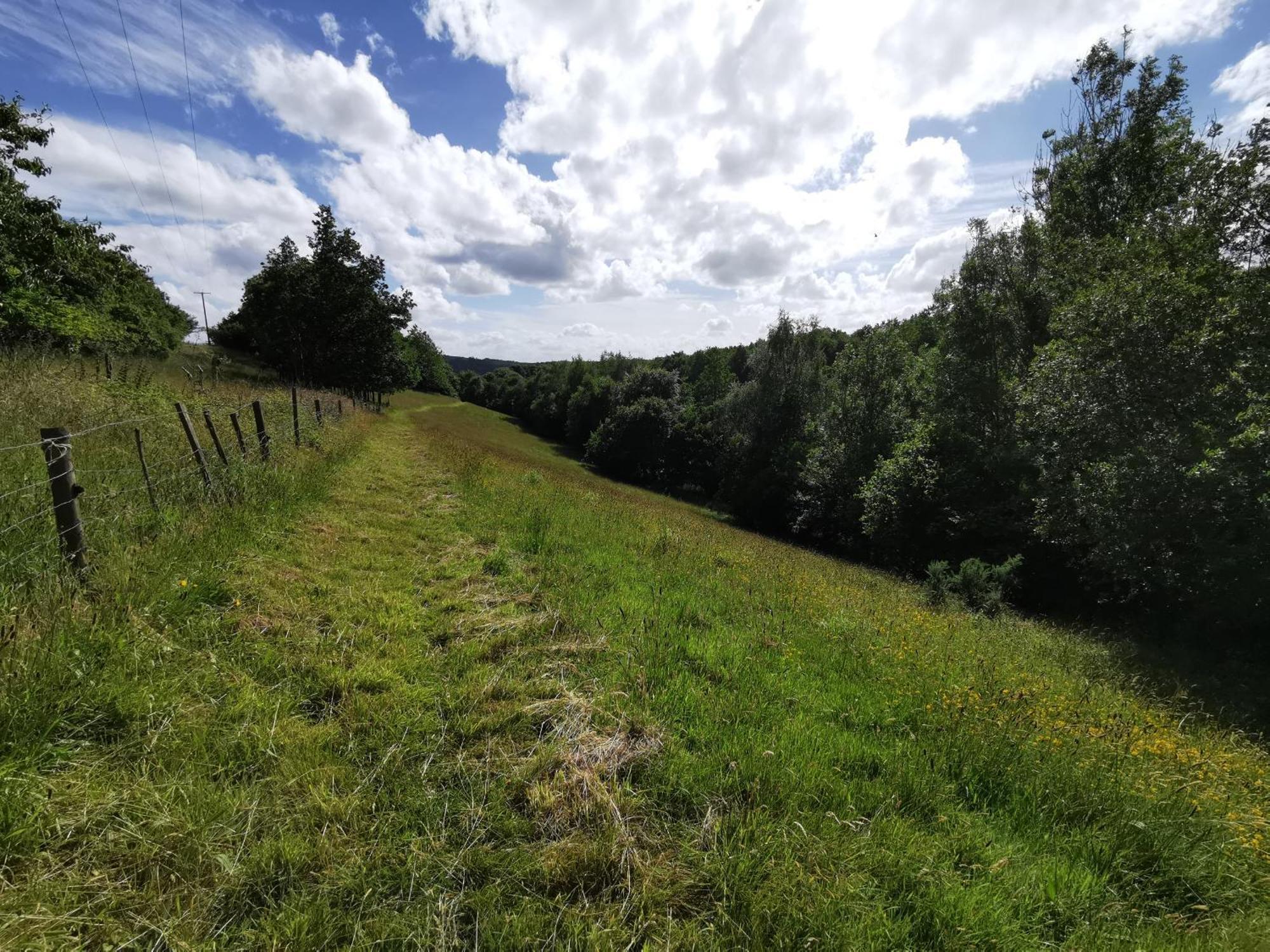 Narracott Down Villa South Molton Bagian luar foto