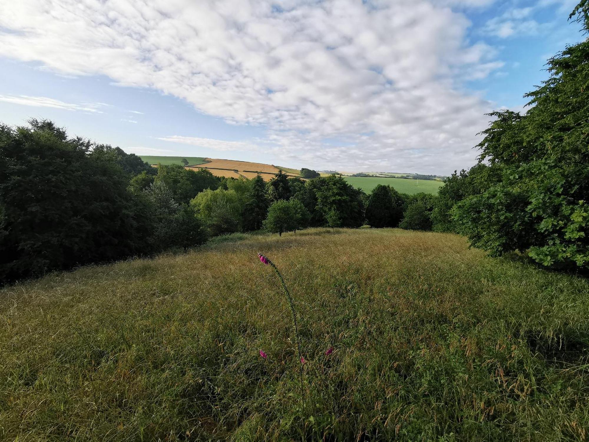 Narracott Down Villa South Molton Bagian luar foto