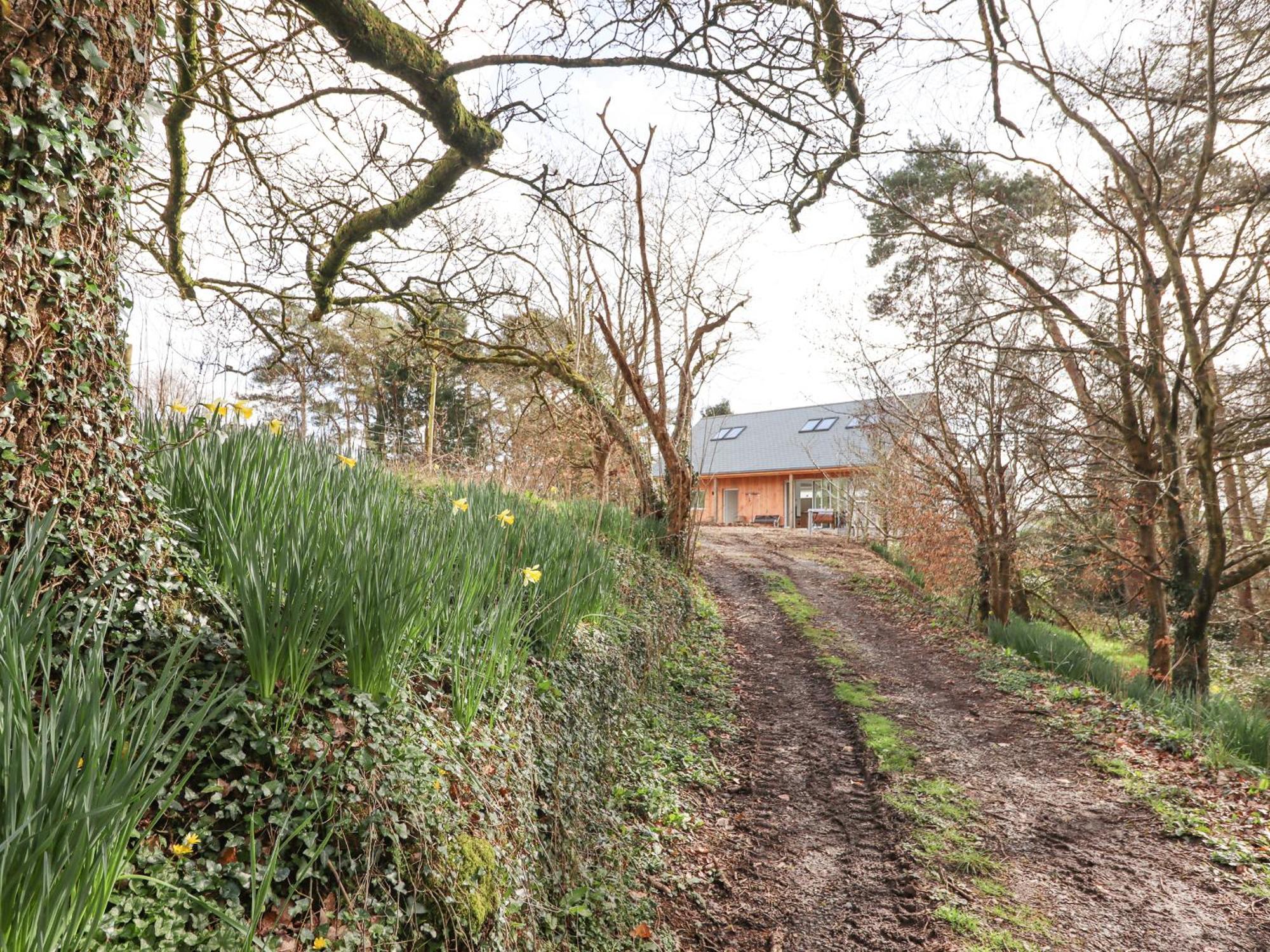 Narracott Down Villa South Molton Bagian luar foto