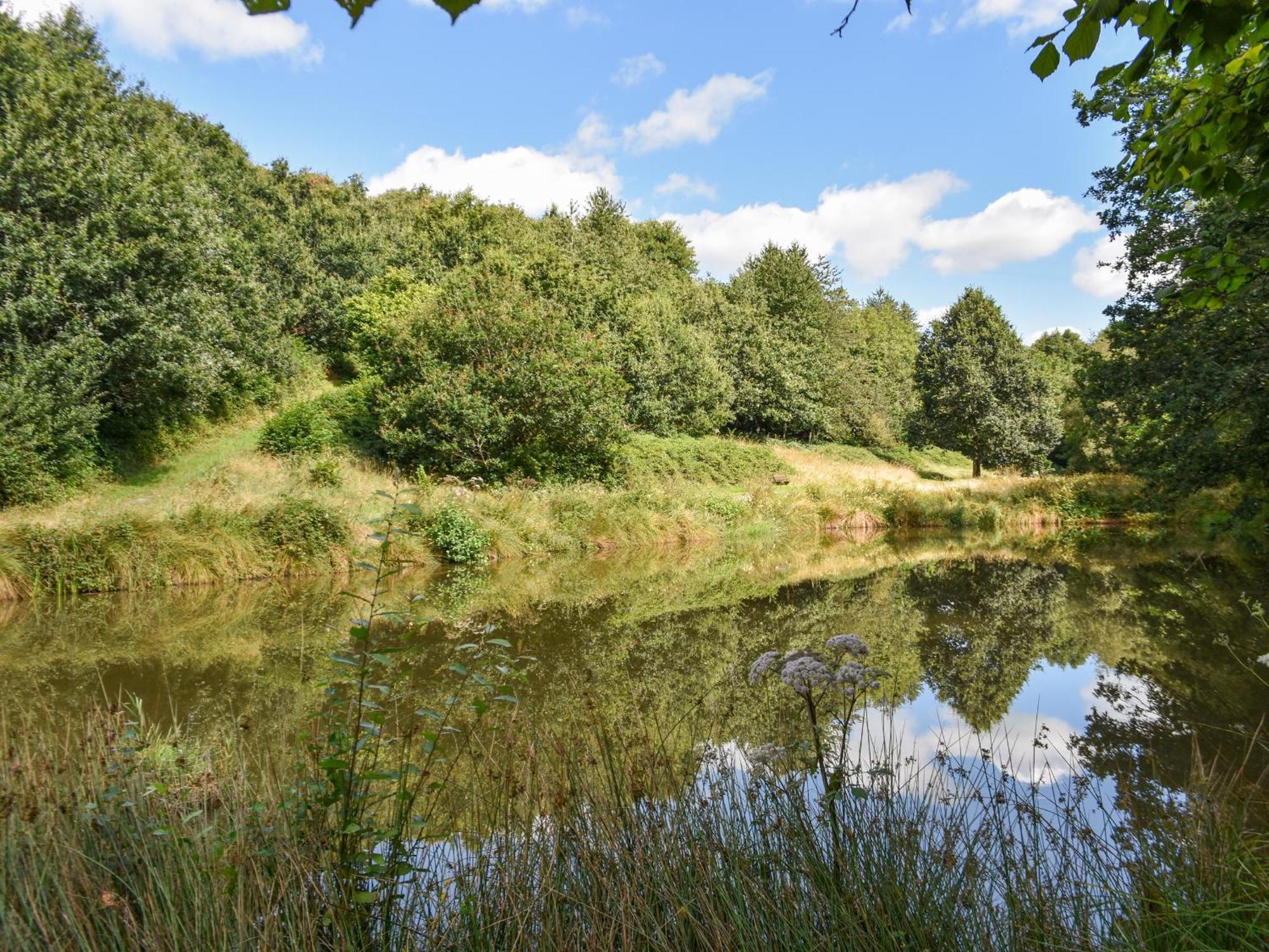Narracott Down Villa South Molton Bagian luar foto